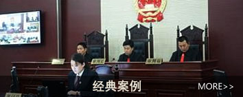 刑事犯罪經典案例