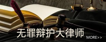 刑事犯罪辯護指南